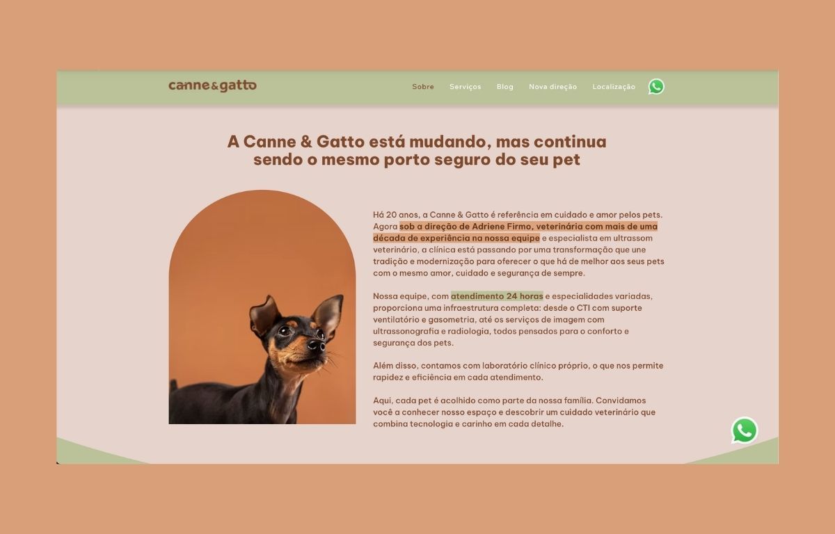 Canne & Gatto &mdash; Website &mdash; website &mdash; what changed