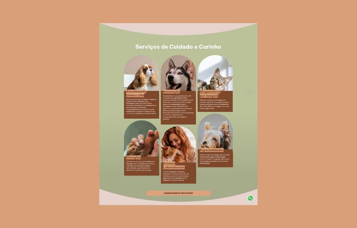 Canne & Gatto &mdash; Website &mdash; website &mdash; services