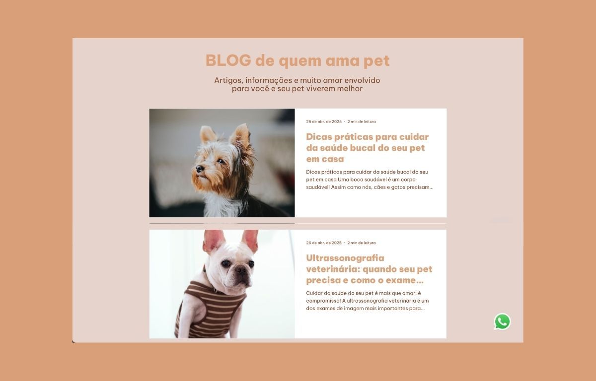 Canne & Gatto &mdash; Website &mdash; website &mdash; blog