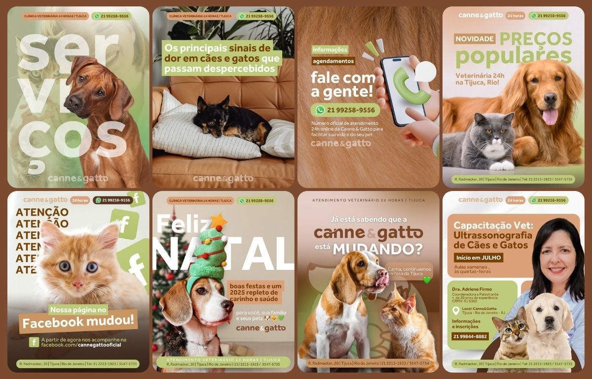 Canne & Gatto &mdash; social media feed