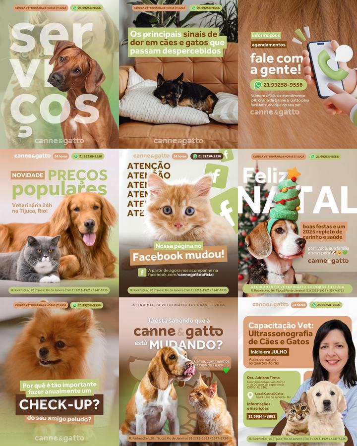 Canne & Gatto &mdash; 24-hour veterinary clinic feed