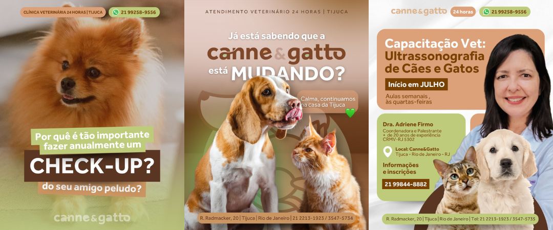 Canne & Gatto