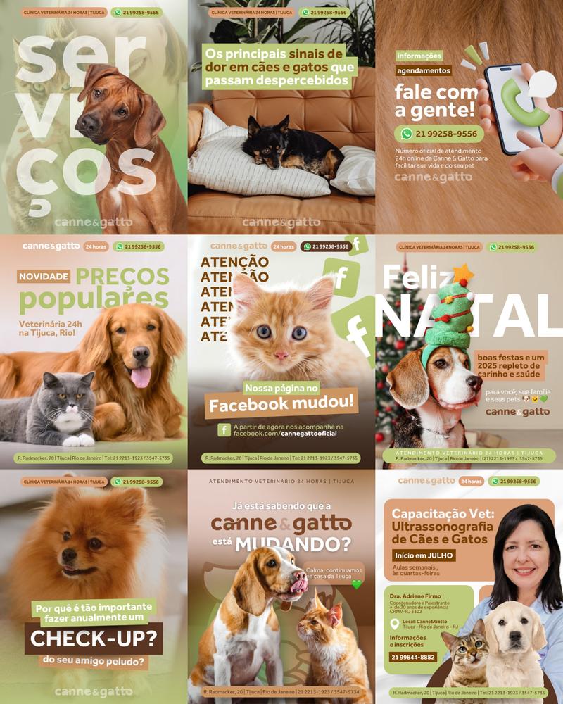 Canne & Gatto