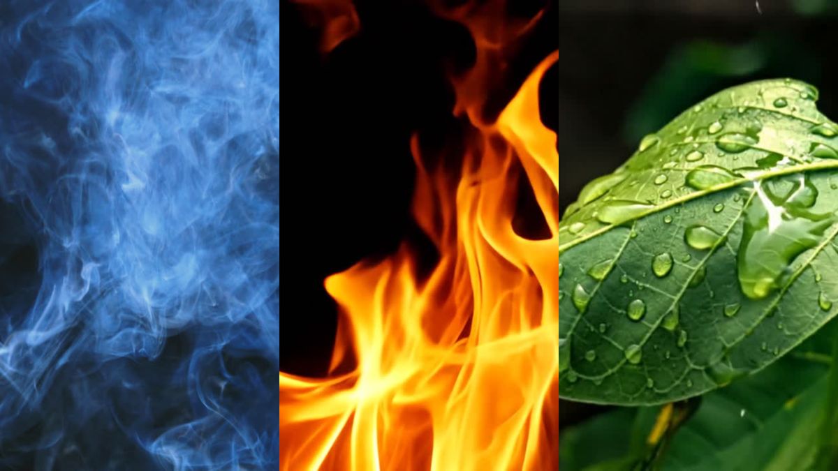 NetCarbon — mood board
